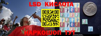 марки nbome Сланцы
