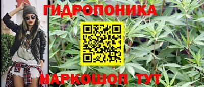 индика Славянск-на-Кубани