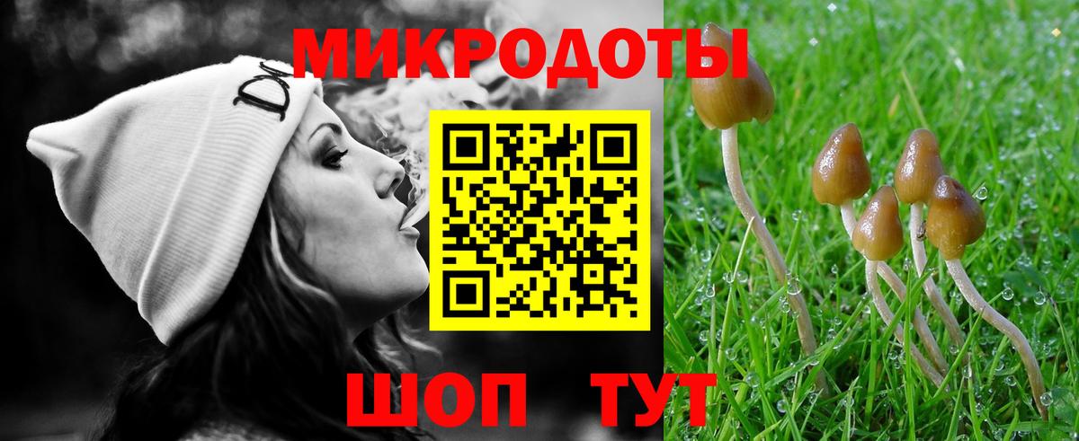 Отрадное  Галлюциногенные грибы MAGIC MUSHROOMS  купить   Вход с VPN 